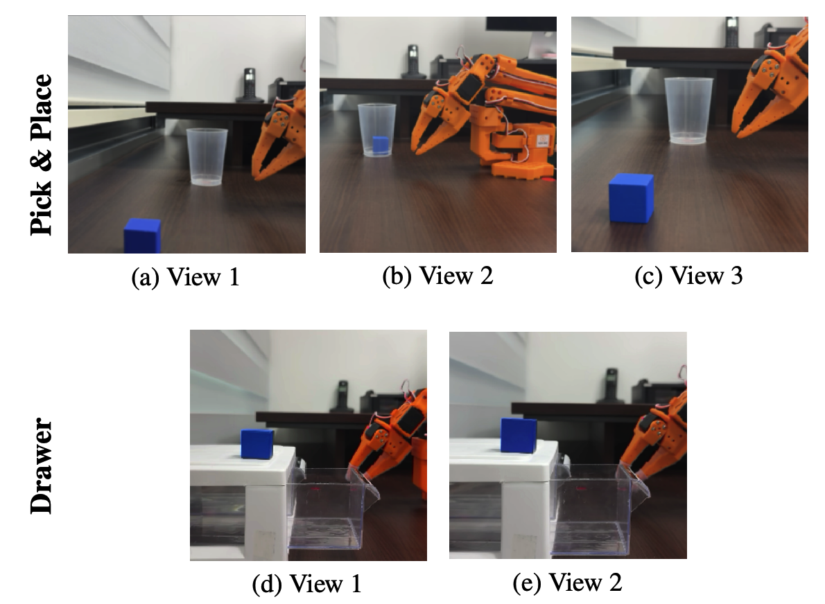 Real-World Unseen Views